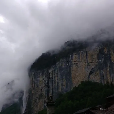 베이스 카페 홈스테이