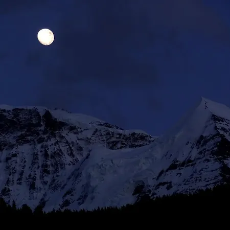 民宿 巴瑟咖啡厅酒店 劳特布龙嫩