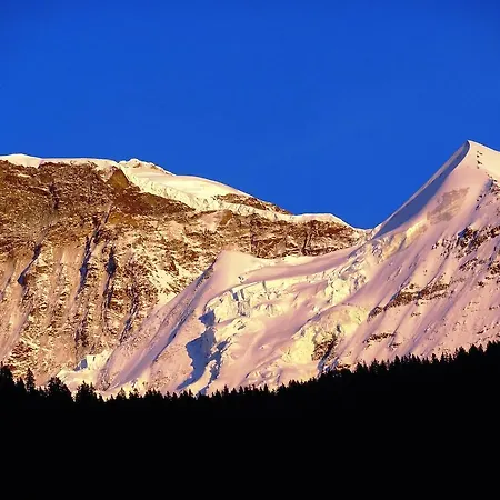 Base Cafe Habitación en casa particular Lauterbrunnen