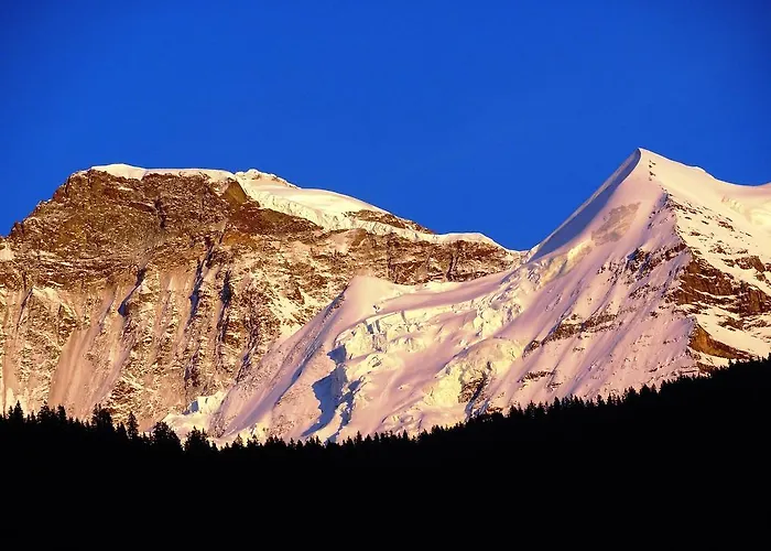 Base Cafe Homestay Lauterbrunnen